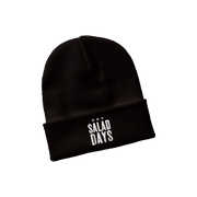 Salad Days Distressed Embroidered Logo Beanie