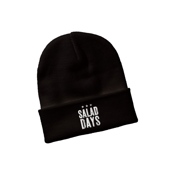 Salad Days Distressed Embroidered Logo Beanie